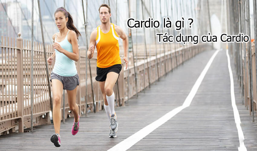Cardio là gì ? Cách tập Cardio hiệu quả