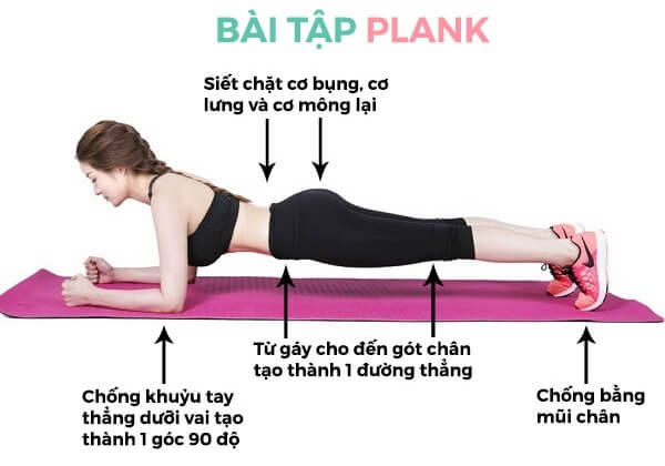 Plank là gì? Cách tập plank đúng cách
