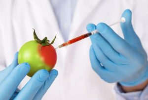Thực phẩm biến đổi GEN là gì? Nên hay không nên ăn ?