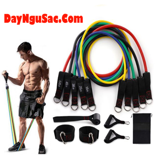 Chọn dây kháng lực loại nào phù hợp cho người mới? Nên mua dây kháng lực nào?